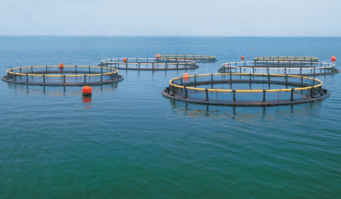 传统经验式养殖该淘汰了,温控设备智能水产养殖时代到来!(图1) QQ截图20230215144748.jpg